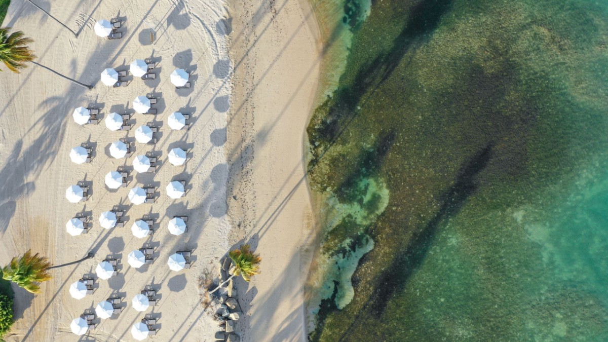Beach at Hyatt Regency Grand Reserve Puerto Rico